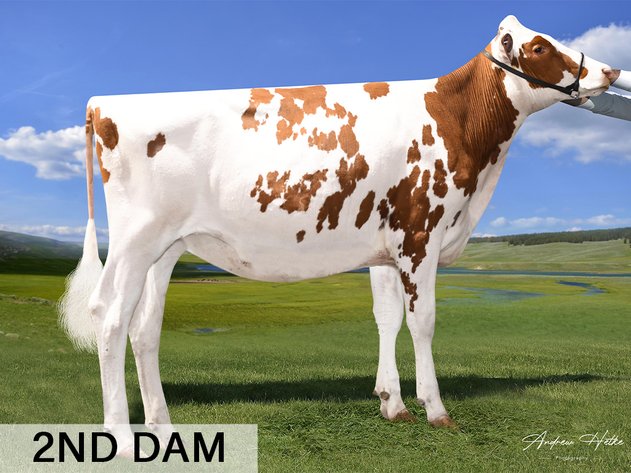 coldsprings resolv 10666